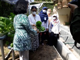 Panen Raya Perdana Sayuran Hydroponics Purwotani untuk Ketahanan Pangan Warga wilayah Kelurahan Purwokinanti